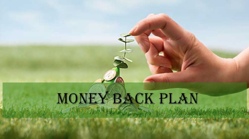 money back plan